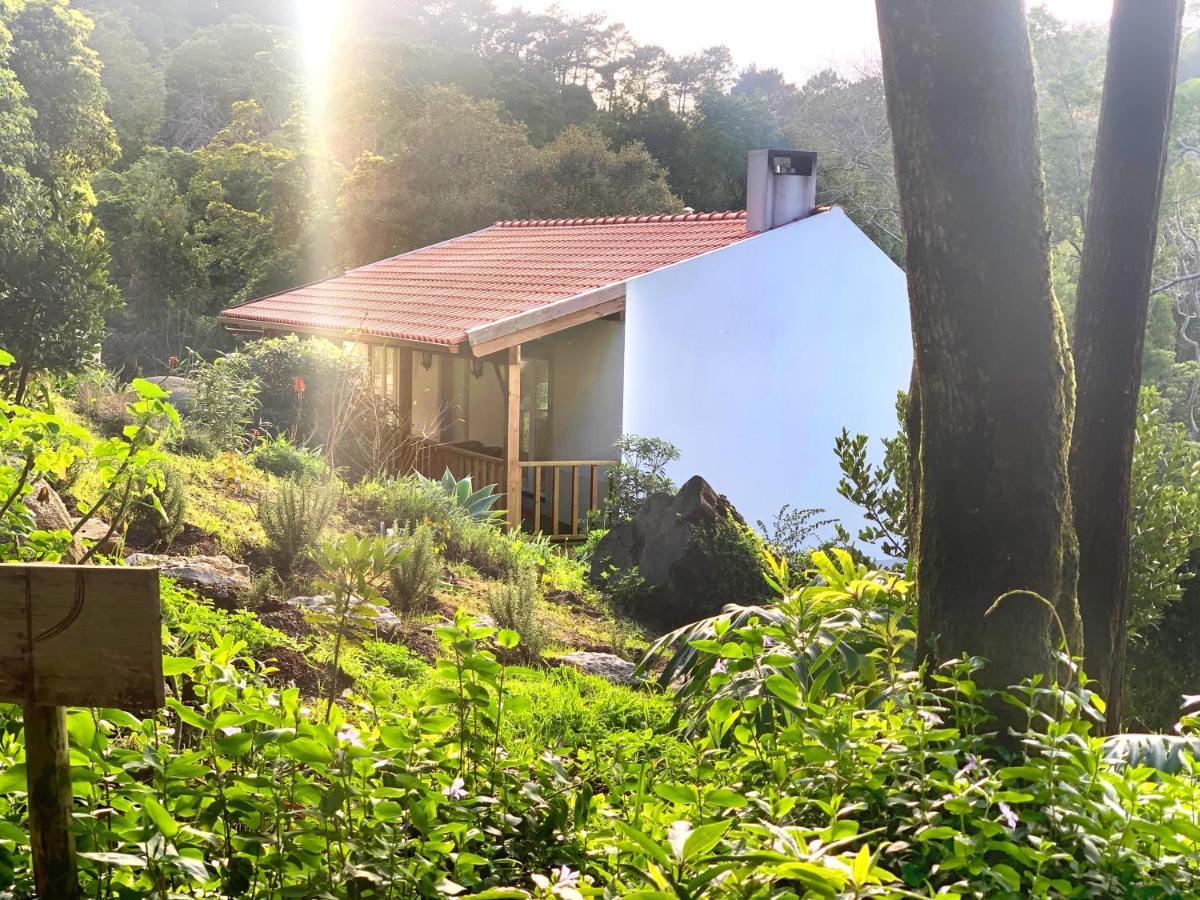 Eighteen21 Houses - Secluded Charm Cottage In Quinta Velha Сінтра Екстер'єр фото